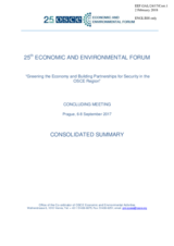 Consolidated summary