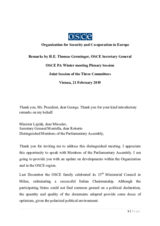 Remarks by OSCE Secretary General Thomas Greminger at the OSCE PA Winter meeting Plenary Session