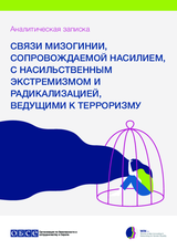 Связи мизогинии, сопровождаемой насилием, с насильственным экстремизмом и радикализацией, ведущими к терроризму