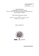 Opening Remarks by Ambassador Christian Strohal, Director