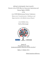 2011 OSCE Mediterranean Partner Conference “Democratic Transformation: Challenges and Opportunities in the Mediterranean Region”: Address by Ambassador Janez Lenarčič