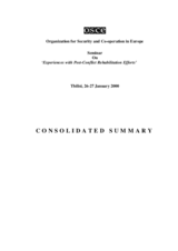 Consolidated summary of the preparatory seminar for the 8th Economic Forum