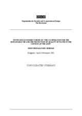 Consolidated summary of the first preparatory seminar for the 10th Economic Forum