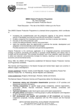 Panel discussion by Petra Schwager, Energy and Cleaner Production Branch, United Nations Industrial Development Organization (UNIDO)