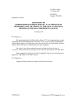 Statement by the Delegation of France on the Report by the Dutch Safety Board on the downing of Malaysian Airlines flight MH17