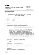 Journal of the 817th Special Plenary Meeting of the Permanent Council